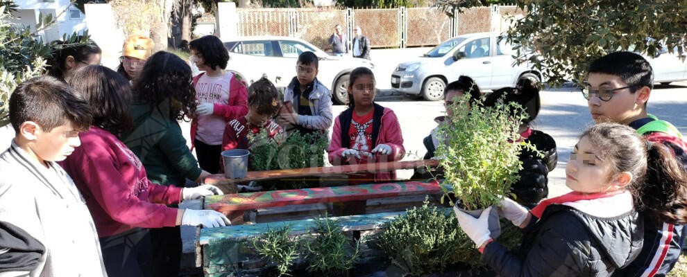 I bambini di Caulonia realizzano un orto botanico grazie al laboratorio “Saperi e Sapori” – fotogallery