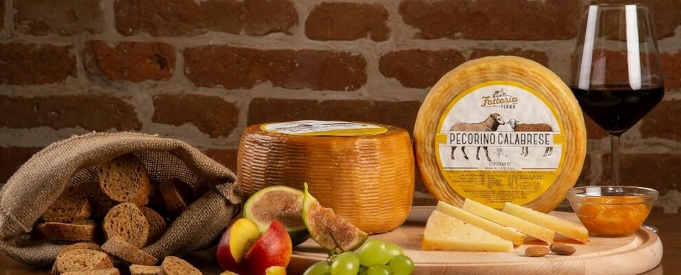 La Calabria fa incetta di premi: Fattoria della Piana vince 3 medaglie ai World Cheese Awards