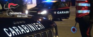 Nascondeva un’ottantina di ghiri all’interno del congelatore. Denunciato un uomo nel reggino item-thumbnail