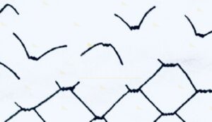 Giornata della Memoria: Non dimentichiamo il passato per migliorare il futuro item-thumbnail