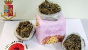 Nasconde la marijuana nella confezione del panettone, arrestato item-thumbnail