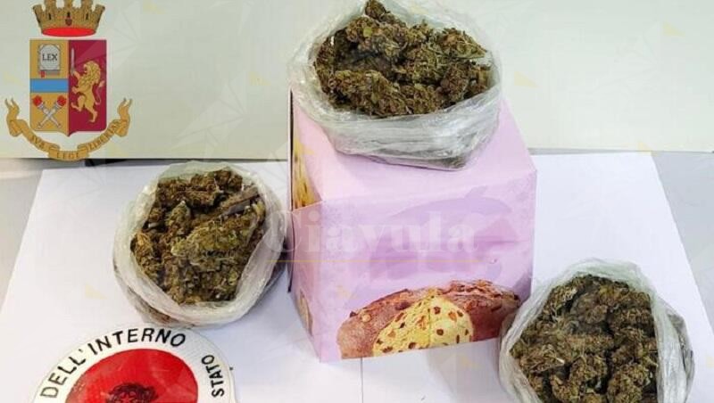 Nasconde la marijuana nella confezione del panettone, arrestato