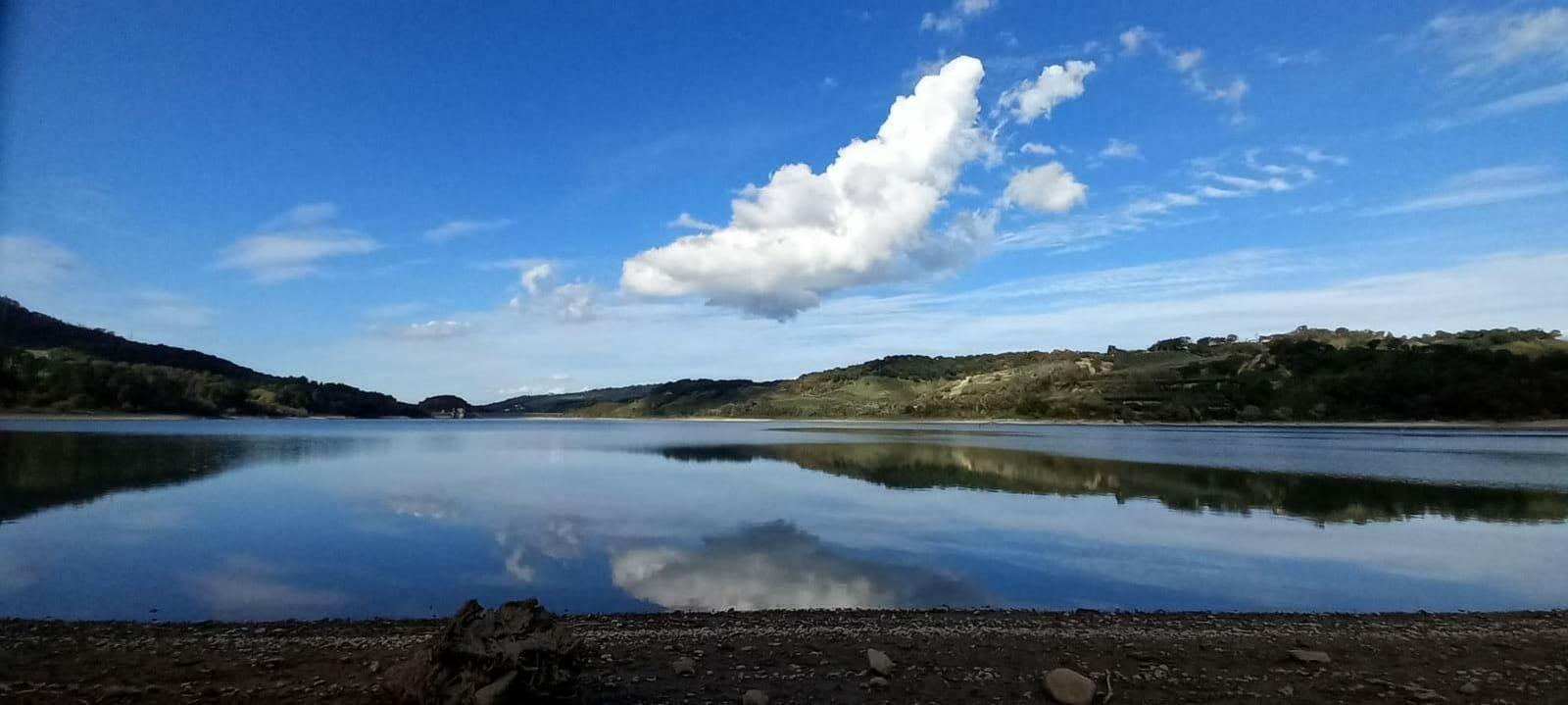 Biodiversità: oggi si festeggiano le zone umide. L’oasi dell’Angitola unica zona “Ramsar” in Calabria