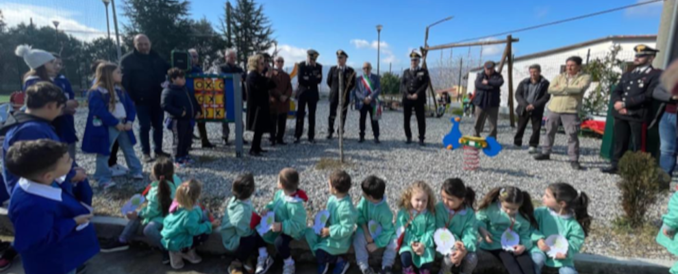 L’albero di Falcone mette radici anche a Martone