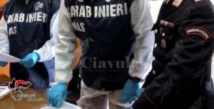 295 kg di frutta e verdura sequestrati in Calabria per mancanza di tracciabilità item-thumbnail