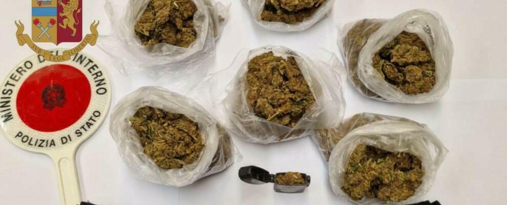 Nascondeva la droga nello zaino, un arresto in Calabria Nascondeva la droga nello zaino, un arresto in Calabria