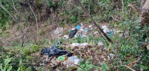 Spazzatura nel bosco in Contrada Gallo a Caulonia. La segnalazione di una lettrice item-thumbnail