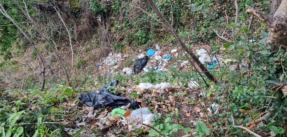 Spazzatura nel bosco in Contrada Gallo a Caulonia. La segnalazione di una lettrice