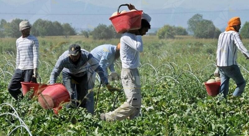 Un corso contro lo sfruttamento e per i diritti dei lavoratori in agricoltura