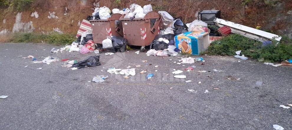Segnalazione del lettore: “A Pezzolo di Caulonia cassonetti dei rifiuti non svuotati per settimane”