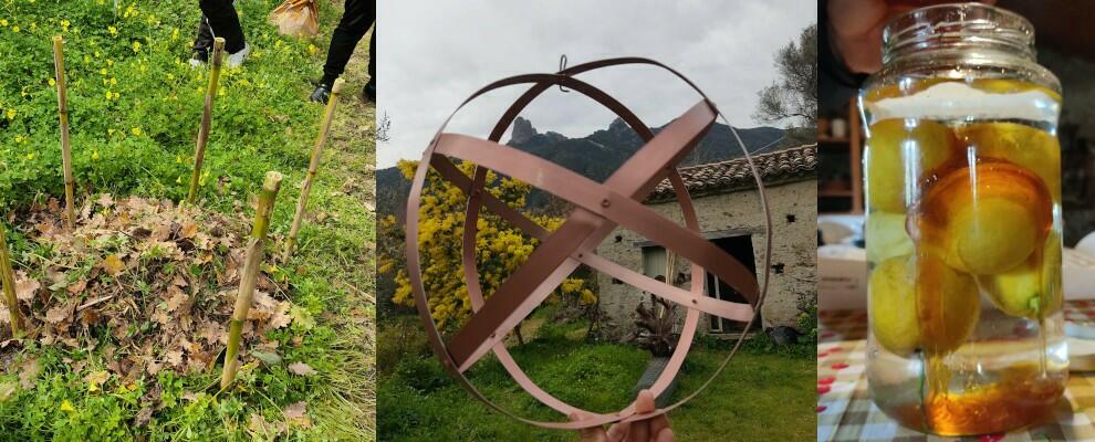 Alla casa delle Erbe della Locride la 2º parte del laboratorio di Agricoltura Organica Rigenerativa