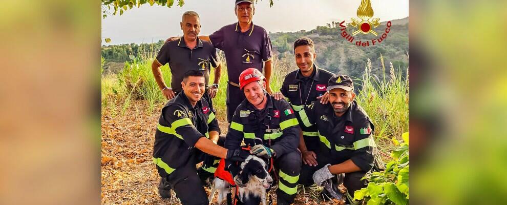 I vigili del fuoco impegnati tra incendi, auto in fiamme e salvataggio di animali nel vibonese