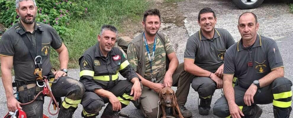 Cane cade a 20 metri di profondità dopo una battuta di caccia: i vigili del fuoco lo recuperano