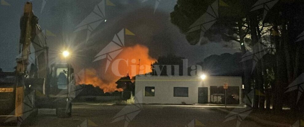 Incendio nella pineta di Roccella Jonica