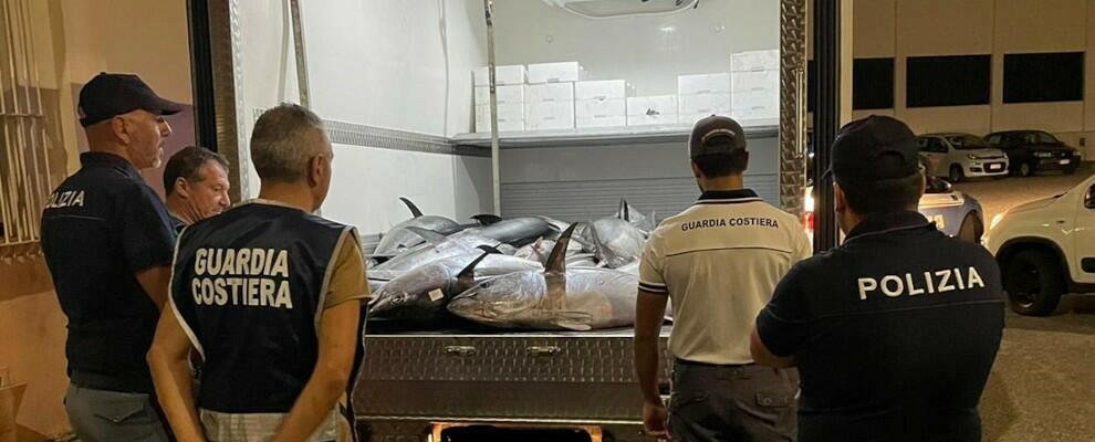 1600kg di prodotti ittici privi di tracciabilità sequestrati a Villa San Giovanni