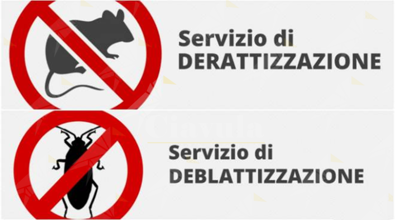 Oggi a Siderno verrà effettuato il servizio di derattizzazione e deblattizzazione