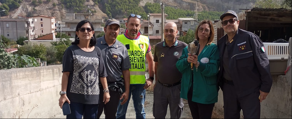 Melito Porto Salvo, liberato in natura un falco pellegrino ferito da alcuni bracconieri