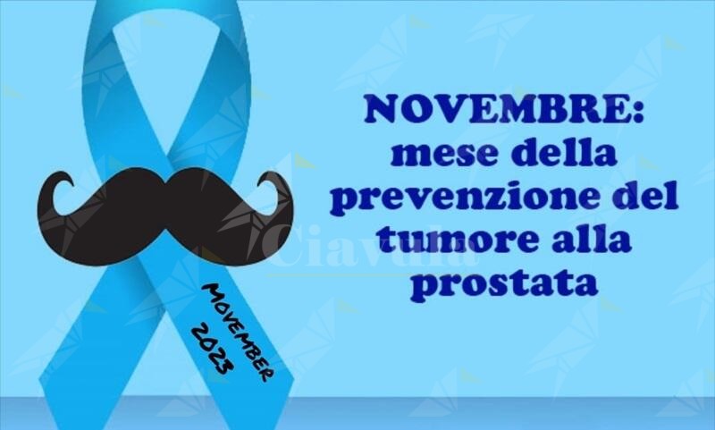 La Commissione per le pari opportunità Jole Santelli presenta a Caulonia: “Novembre in Azzurro”
