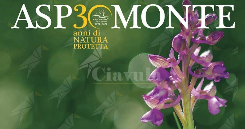 Il Parco Nazionale dell’Aspromonte festeggia i 30 anni di attività con un nuovo calendario