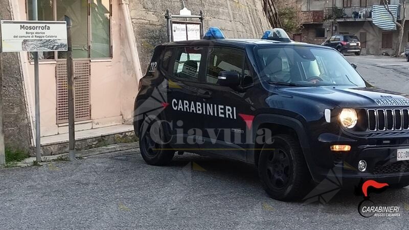 Trasporto illegale di rifiuti a Reggio, i Carabinieri denunciano 2 persone