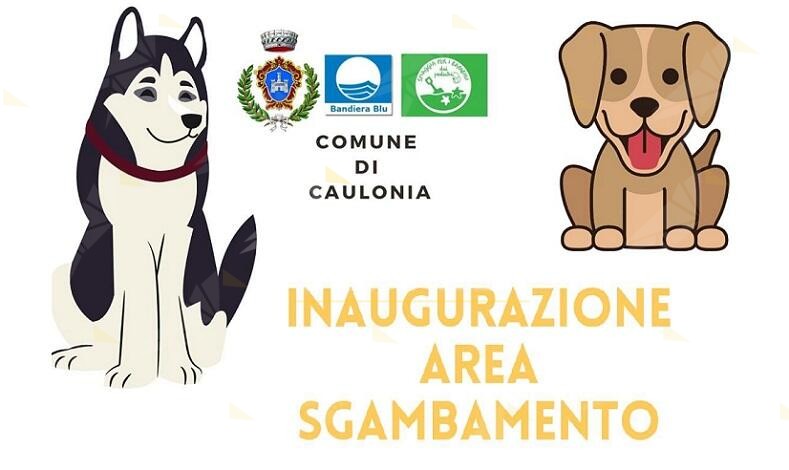 A Caulonia verrà inaugurata un’area dedicata ai cani