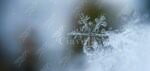 Torna la neve in Calabria