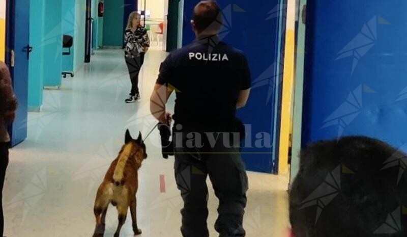 Controlli antidroga della polizia nelle scuole di Crotone e provincia