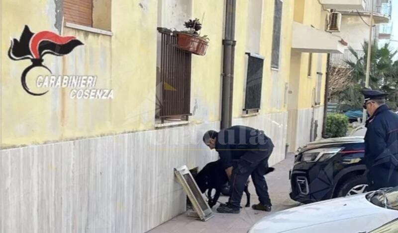 Calabria, case popolari occupate abusivamente. Irregolare anche quella di un boss e di un assessore