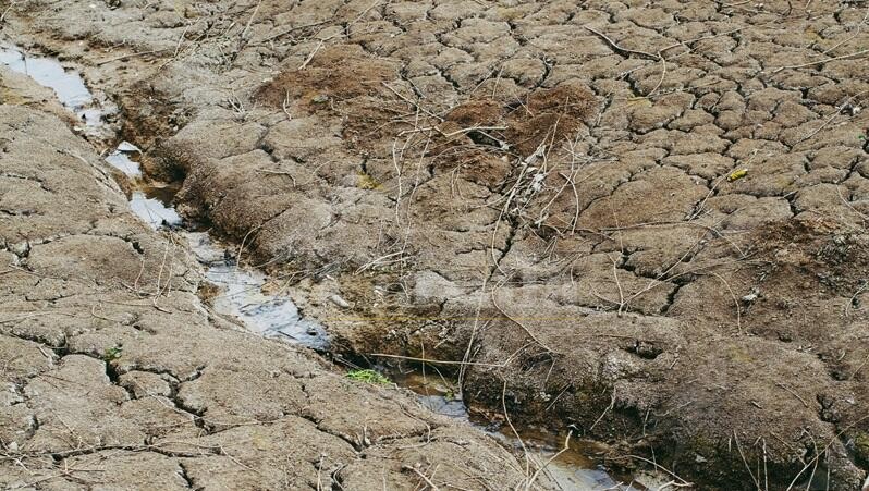 Siccità in Calabria, il Consiglio dei Ministri proroga di 6 mesi lo stato d’emergenza