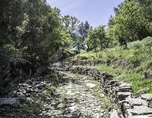 Gente in Aspromonte organizza un’escursione a “I nzilicati du stincu”
