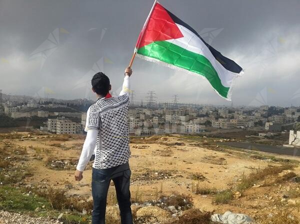 Aiello: “In Palestina un massacro di bambini. Unione Europea dove sei? Perchè non ti indigni?”