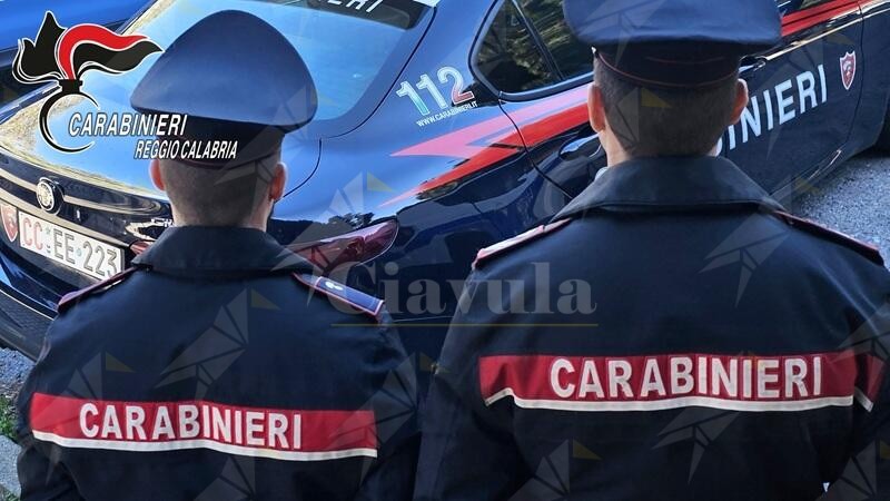 ‘Ndrangheta, confiscati beni per 600 mila euro ad un affiliato alla cosca “Cacciola-Grasso” di Rosarno