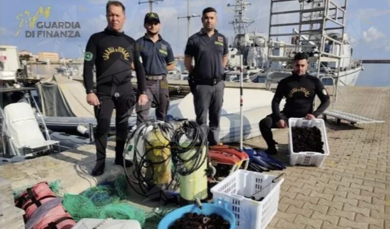 Bracconieri sospesi a depredare ricci di mare nel vibonese