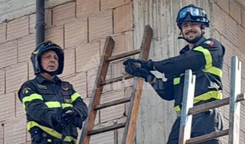 Civetta rimane incastrata tra i mattoni di un fabbricato in costruzione: salvata dai vigili del fuoco