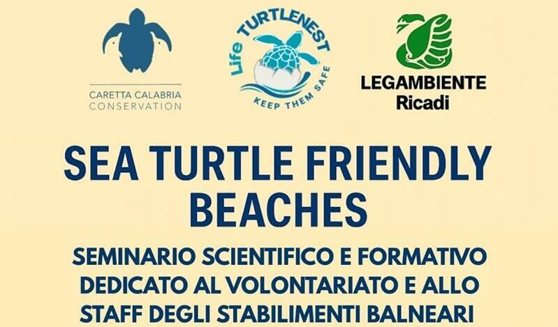 Dalla teoria alla pratica per salvare le tartarughe: a Santa Domenica di Ricadi il seminario “Sea Turtle Friendly Beaches”