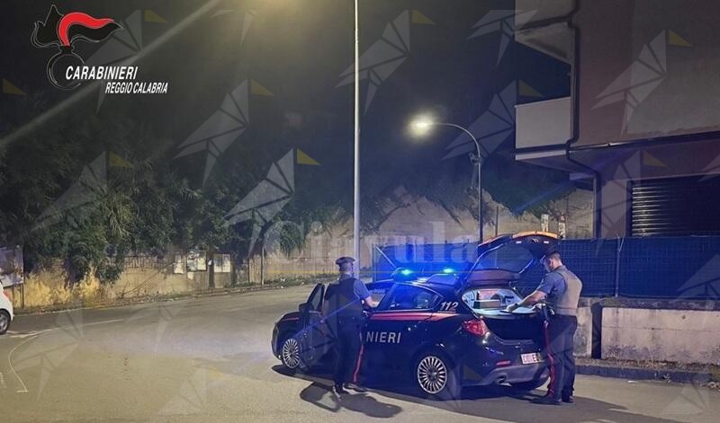 Blitz dei Carabinieri a Gioia Tauro: denunce, sanzioni e controlli a tappeto