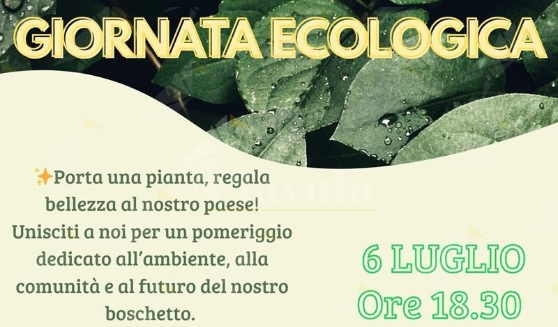 «Pianta con noi il futuro del Boschetto»: al via la Giornata Ecologica sul Lungomare di Marina di Gioiosa