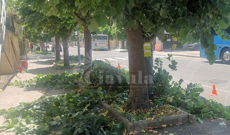Siderno più pulita: al via interventi straordinari di igiene urbana su tutto il territorio comunale