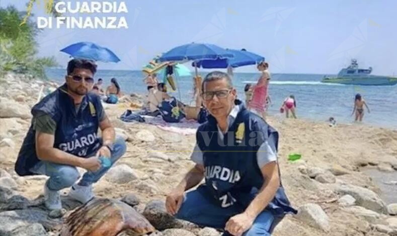 Calabria, tartaruga ferita sulla spiaggia salvata grazie all’intervento dalla Guardia di Finanza