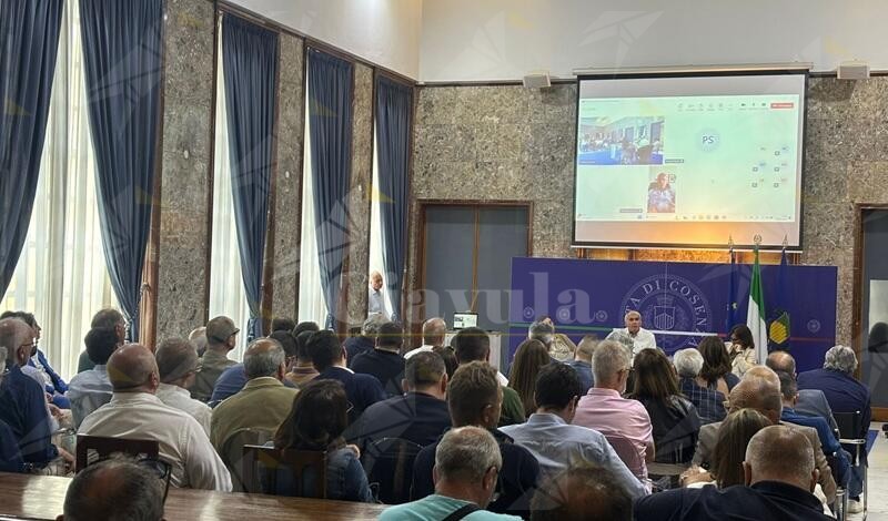 Una voce sola per i TIS: i Sindaci della provincia di Cosenza chiedono soluzioni concrete