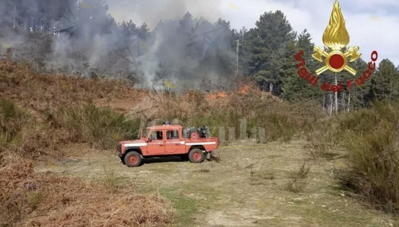 Arriva il caldo e anche gli incendi, in Calabria 55 interventi dei Vigili del Fuoco