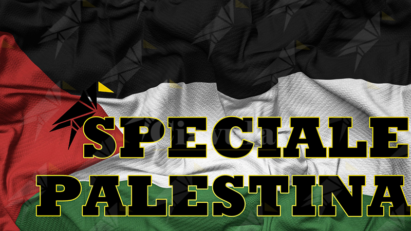 Dalla Calabria a Gaza: Ciavula racconta la Freedom Flotilla