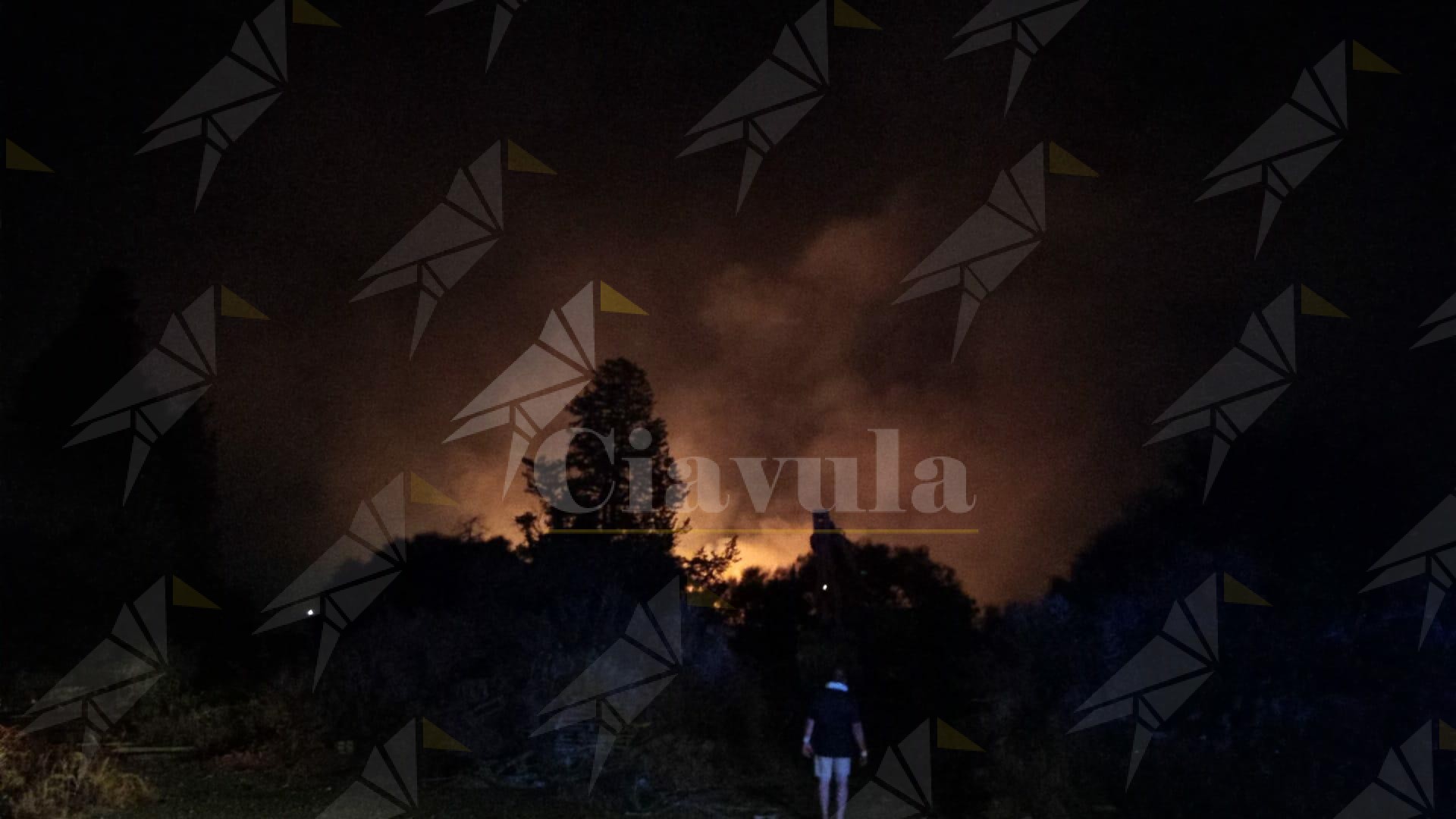 Notte di fuoco a Caulonia Marina: incendio nei pressi dell’Allaro