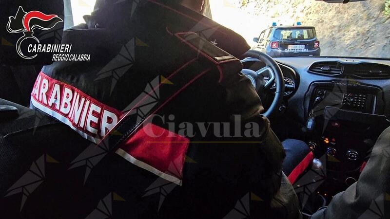 Sequestrati 280 kg di alimenti privi di tracciabilità in due macellerie della locride, multe per 9 mila euro