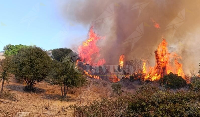 Luana Franco: ” La Locride brucia, dove sono finite le promesse della Regione sulla prevenzione incendi?”