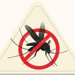 Disinfestazione straordinaria a Siderno per prevenire il virus West Nile: avviso alla cittadinanza