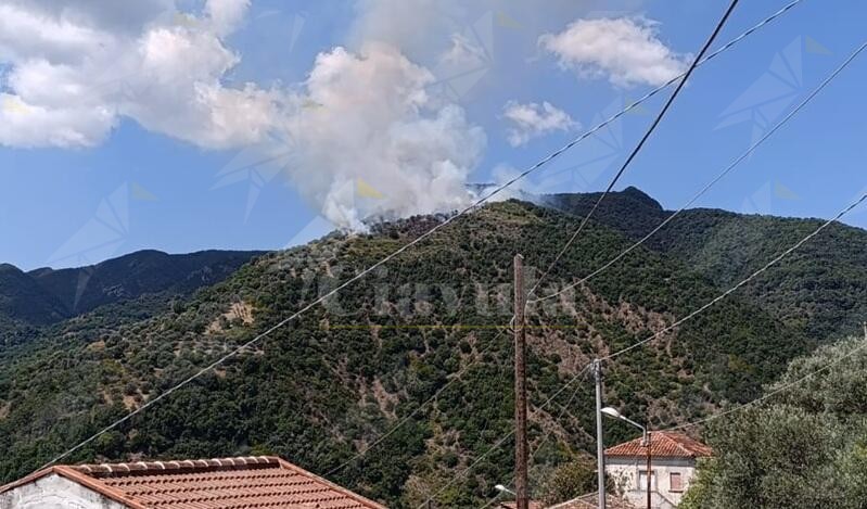 Incendio a Caulonia