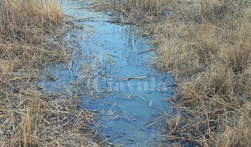 Segnalato uno sversamento sulla spiaggia di Caulonia Marina – Video