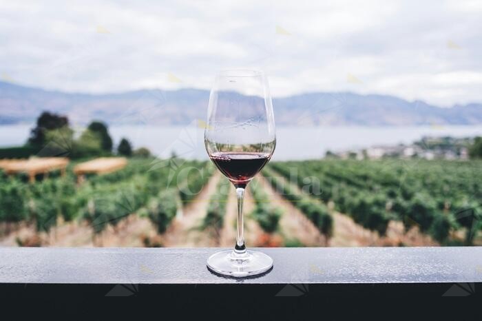Conclusa la 39° “Sagra del Vino” a Bivongi