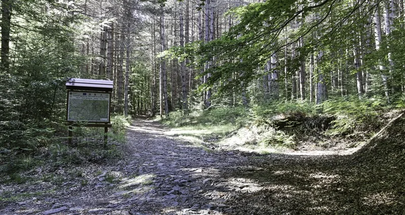 Gente in Aspromonte organizza un’escursione a Pietra Tagliata